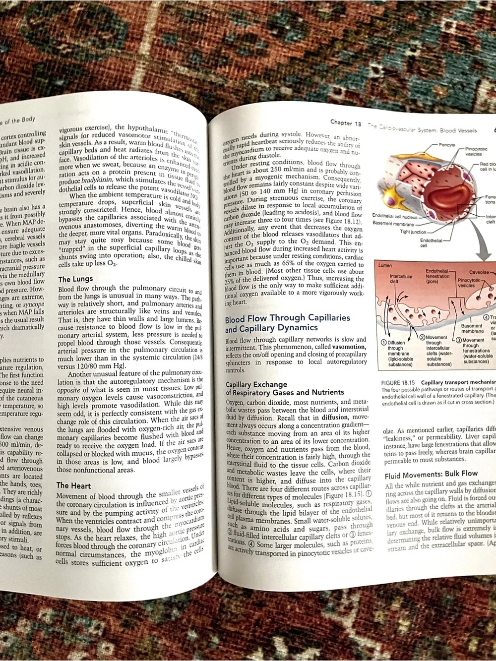 Pearson hardcover anatomy